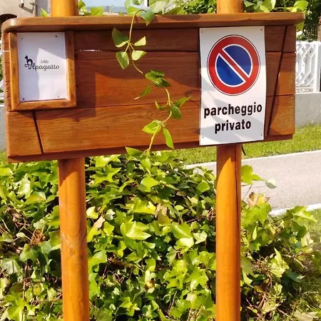 Alpagatto *